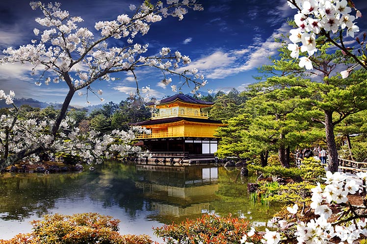 Sakura Park